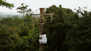 Totonac boy climbing ceremonial pole