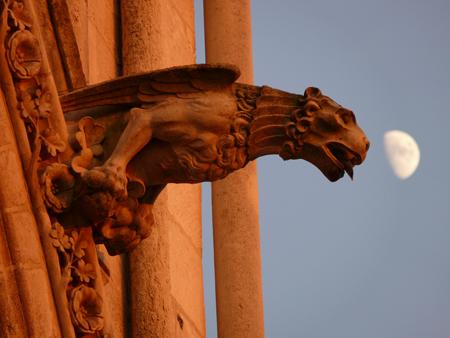 Gargoyle on Gothic cathedral in France