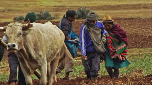 Peruvian villagers farming