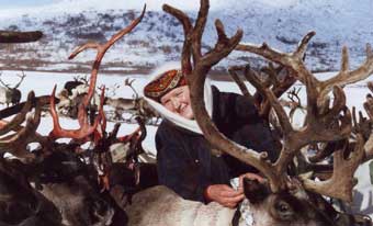 Komi Woman with Reindeer