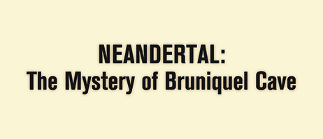 neandermyst