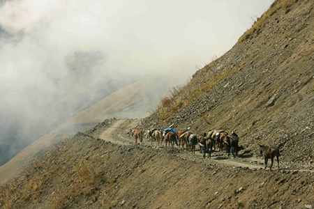Herding horses along mountainside road