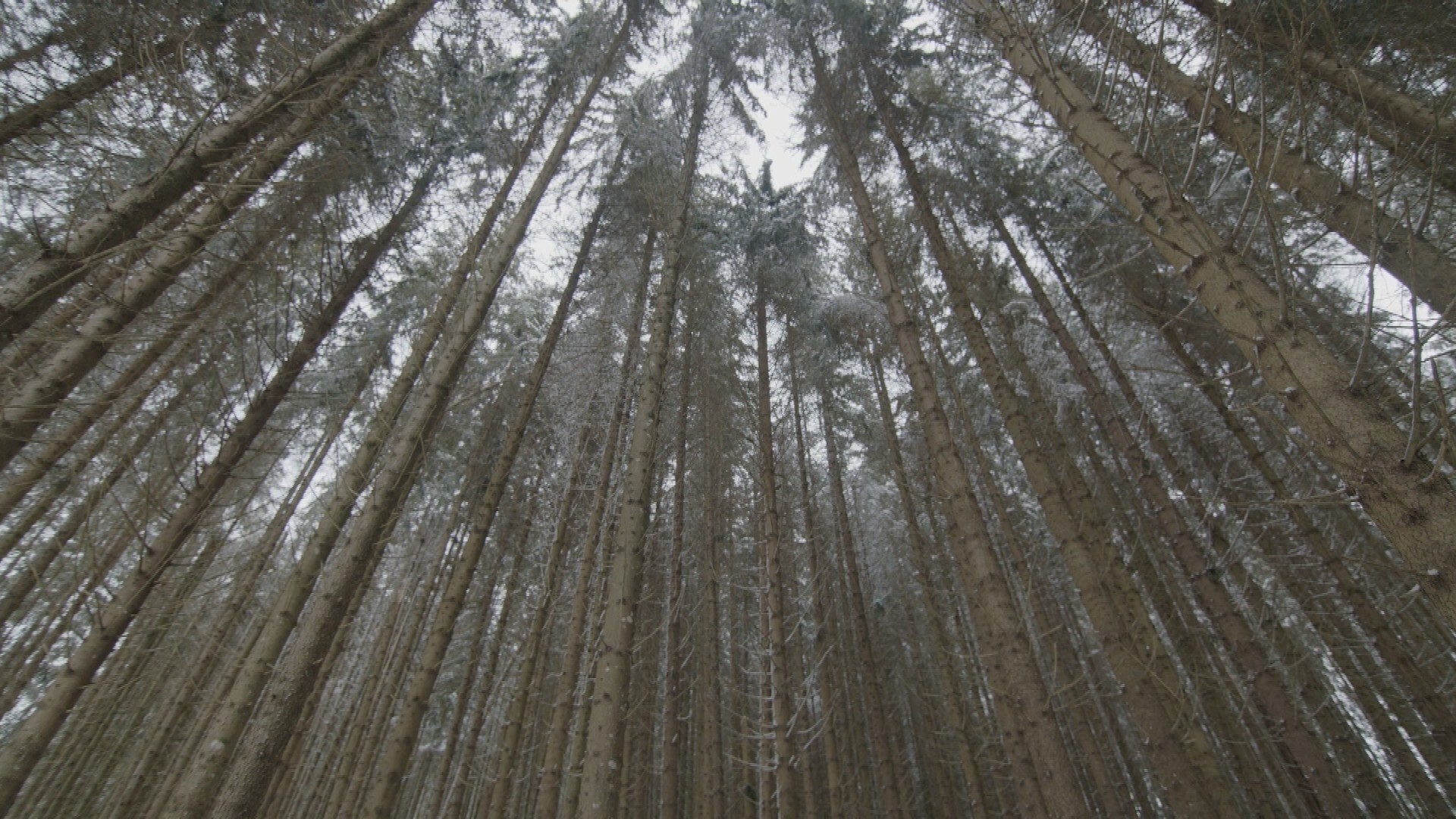 fountain and columns