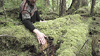 Person points to a mass of moss