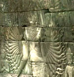 achilles5