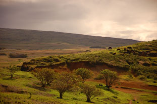 Easter Island landscape