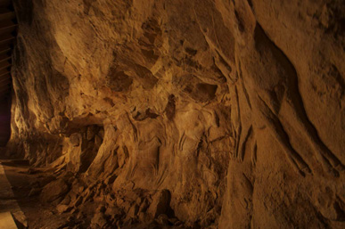 Cave Wall with Magdalenian Art