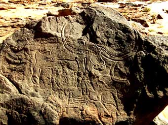 Petroglyph with Animal Images