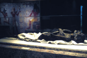 Royal Mummy in Glass Case